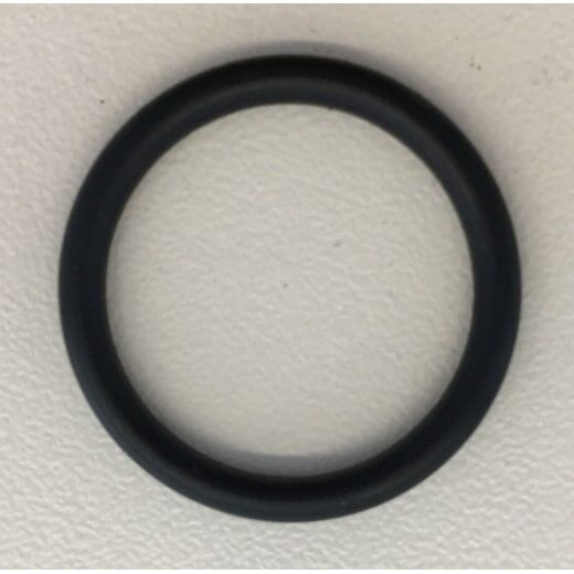 O-Ring 20