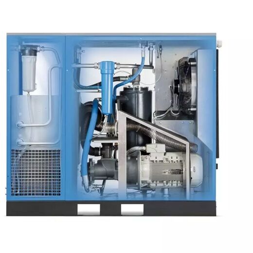 MARK Schraubenkompressor RMB 15D