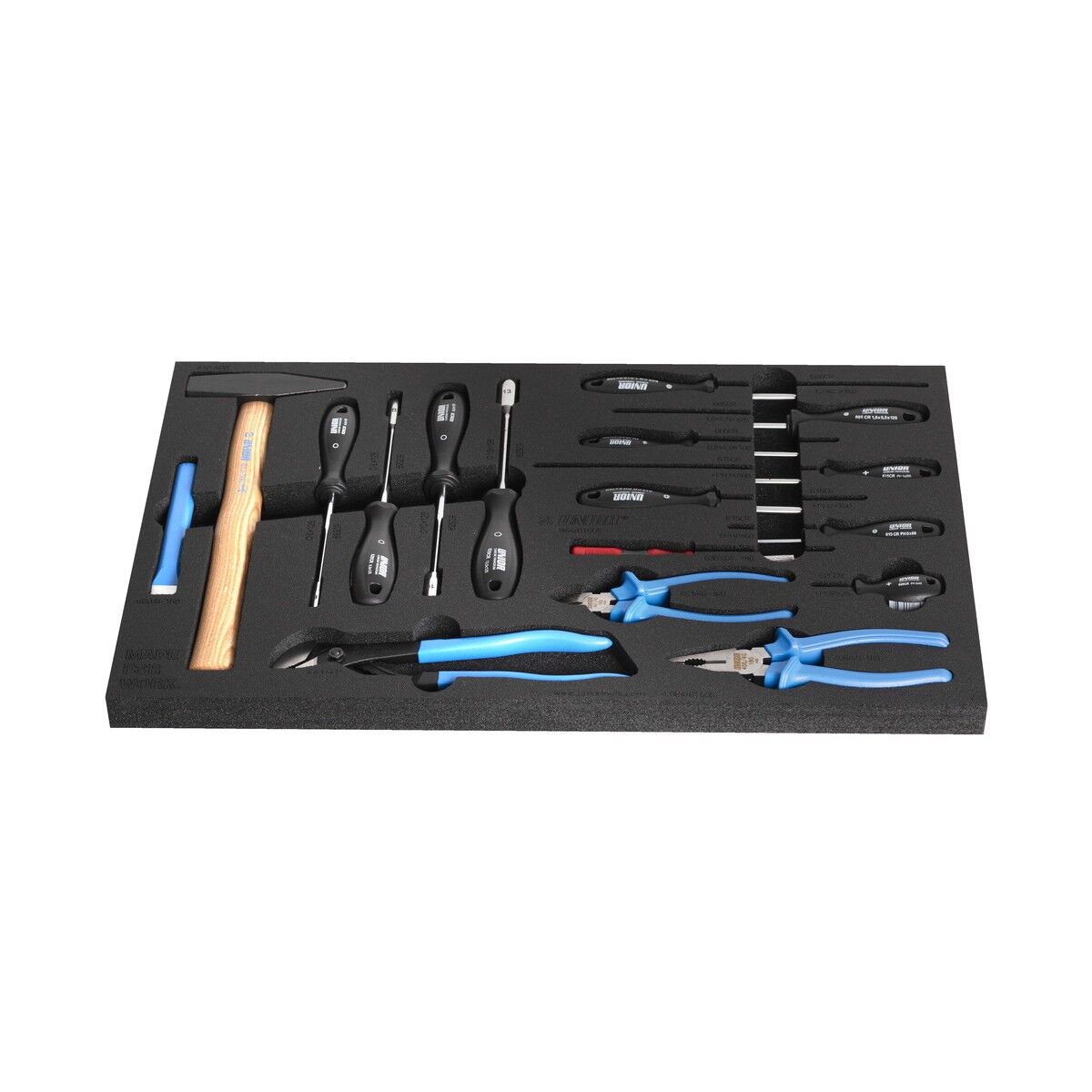Schaumstoffeinlage mit Hammer, Schraubendrehern, Feilen und Zangen; Werkzeuge mit schwarzen und blauen Griffen.