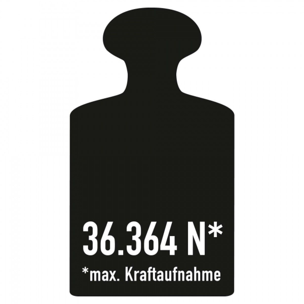 Schwarzes Piktogramm einer Prüfgewicht-Form mit Aufdruck „36.364 N*“ und „*max. Kraftaufnahme“ auf weißem Hintergrund.